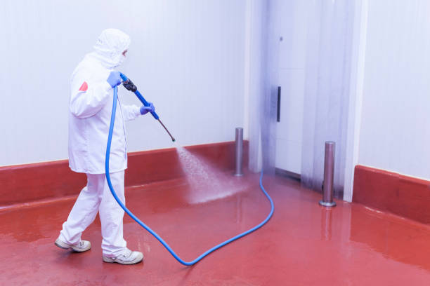 Best Roof Washing  in Cedar Heights, MD